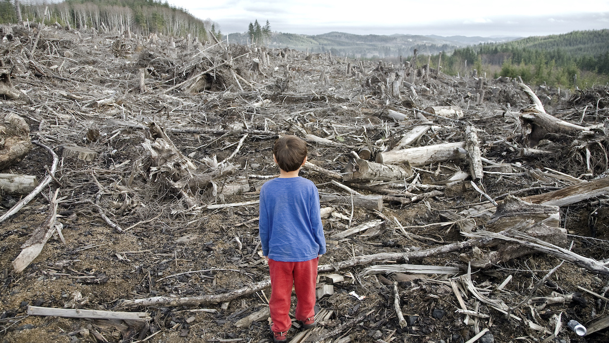The Quiet Collapse: Why Humanity May Stop Having Children by 2075